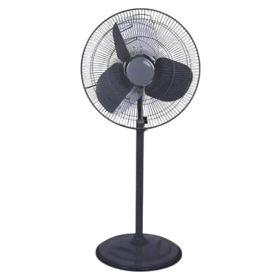 FANS